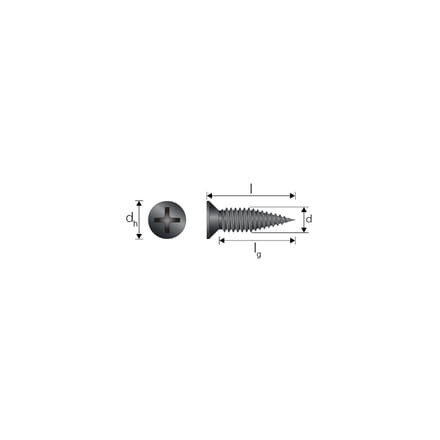 ssp-dim-image-jpg.jpg